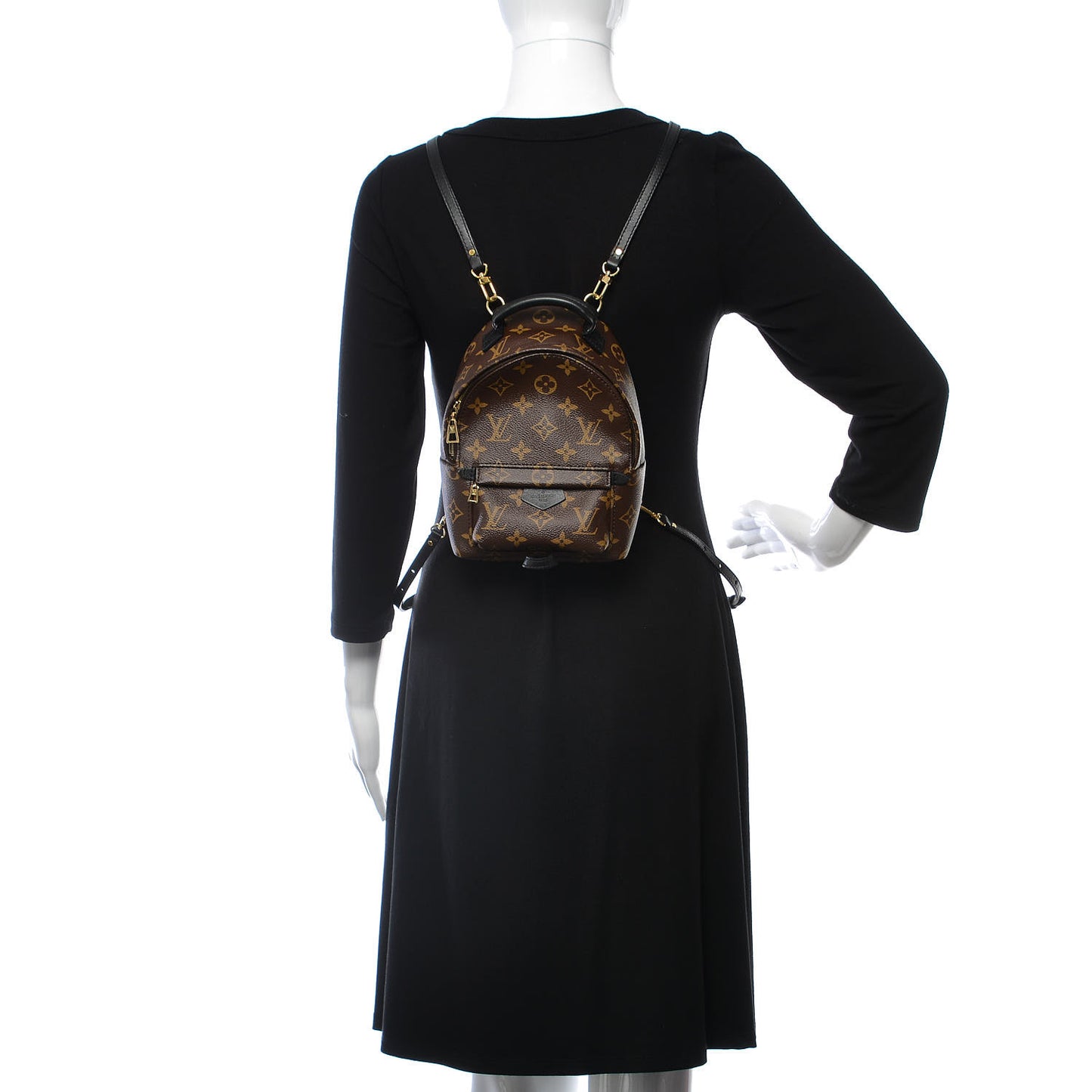 Monogram Palm Springs Backpack Mini