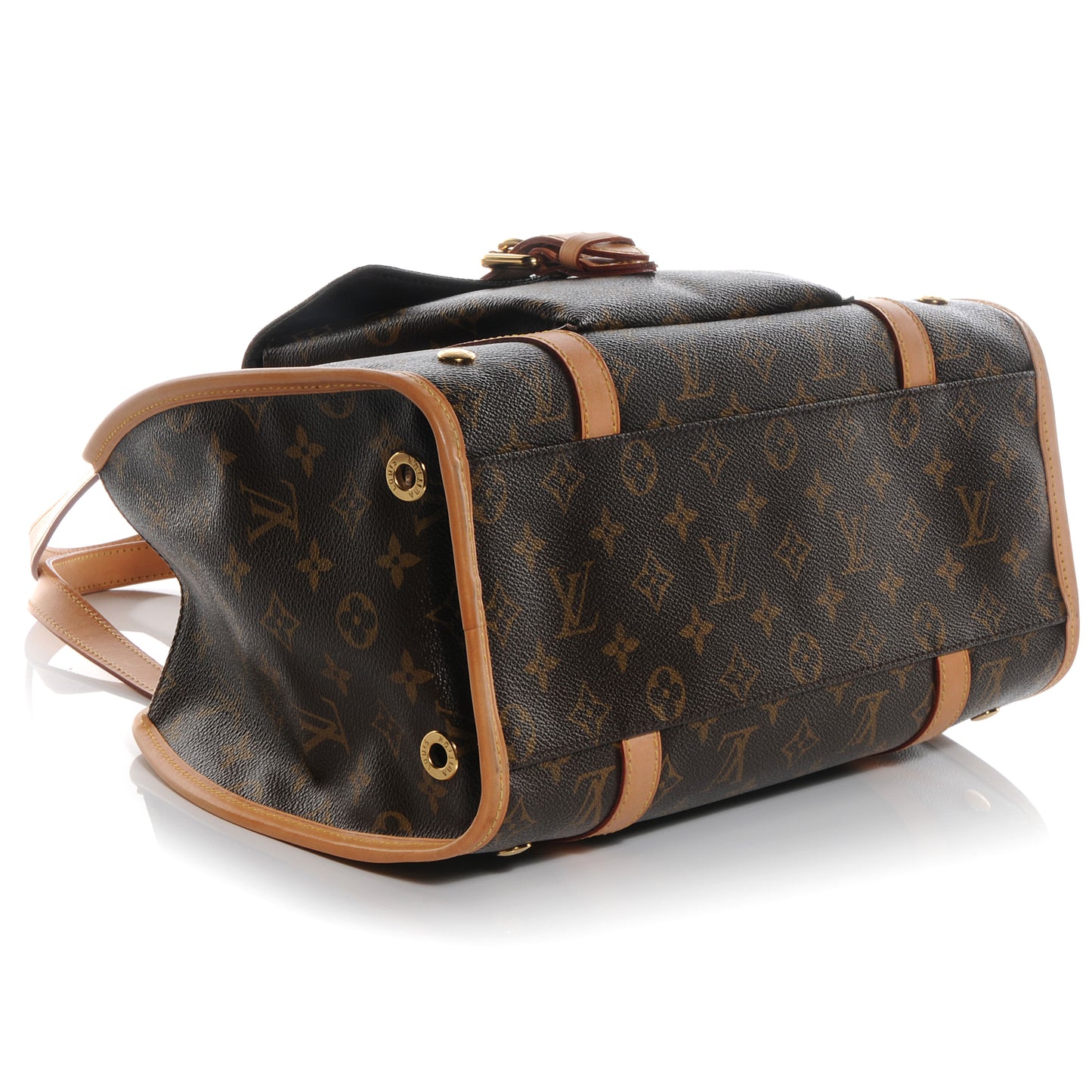Monogram Sac Baxter PM Dog Pet Carrier