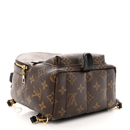Louis Vuitton Monogram Palm Springs Backpack Mini 4 of 9