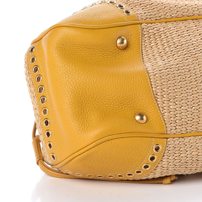 Prada Paglia Vitello Frame Satchel Naturale Mimosa 9 of 10