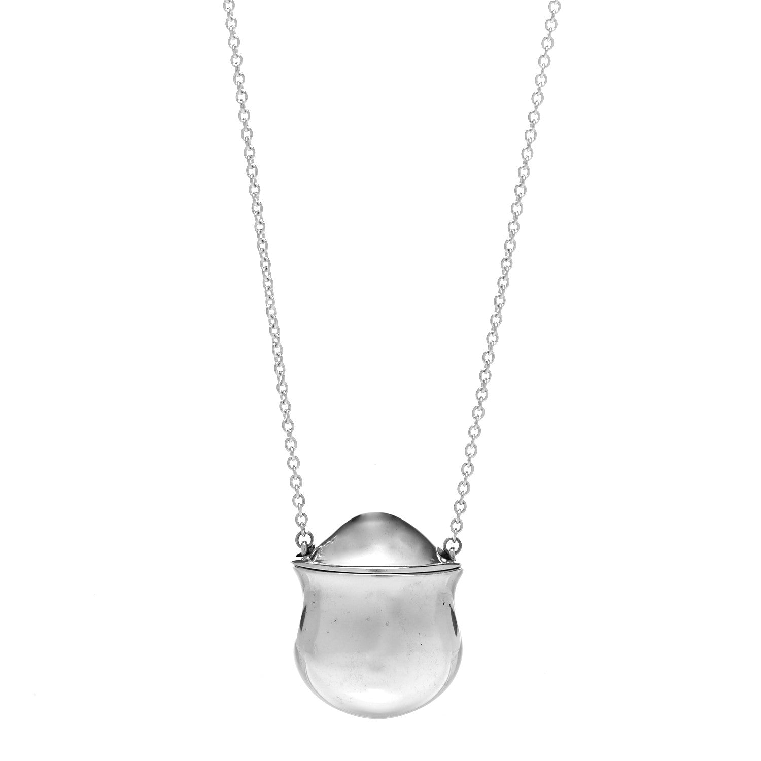 Tiffany Sterling Silver Elsa Peretti Bottle Inro Pendant Necklace 1 of 6