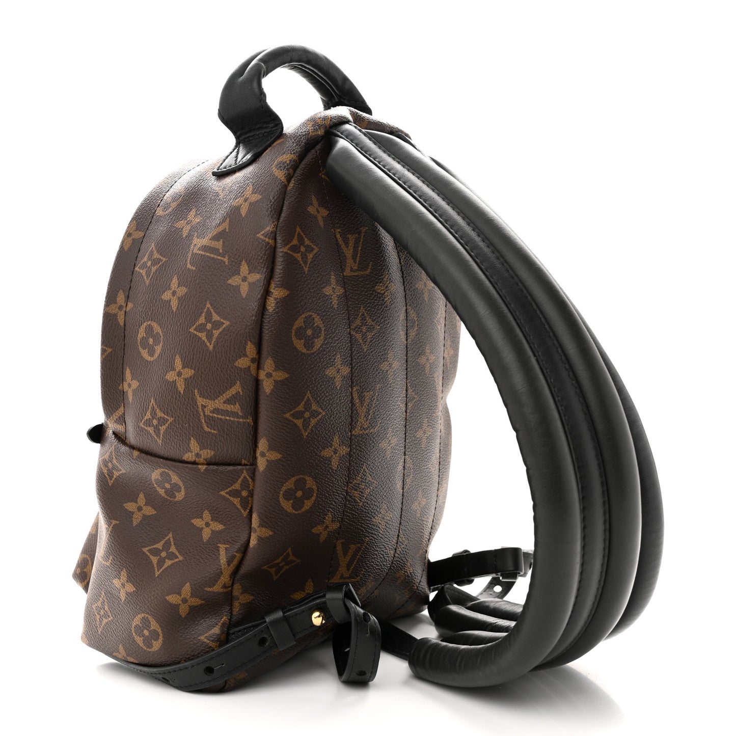 Monogram Palm Springs Backpack PM