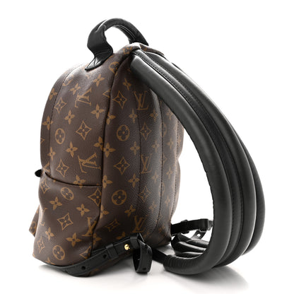 Louis Vuitton Monogram Palm Springs Backpack PM 3 of 17