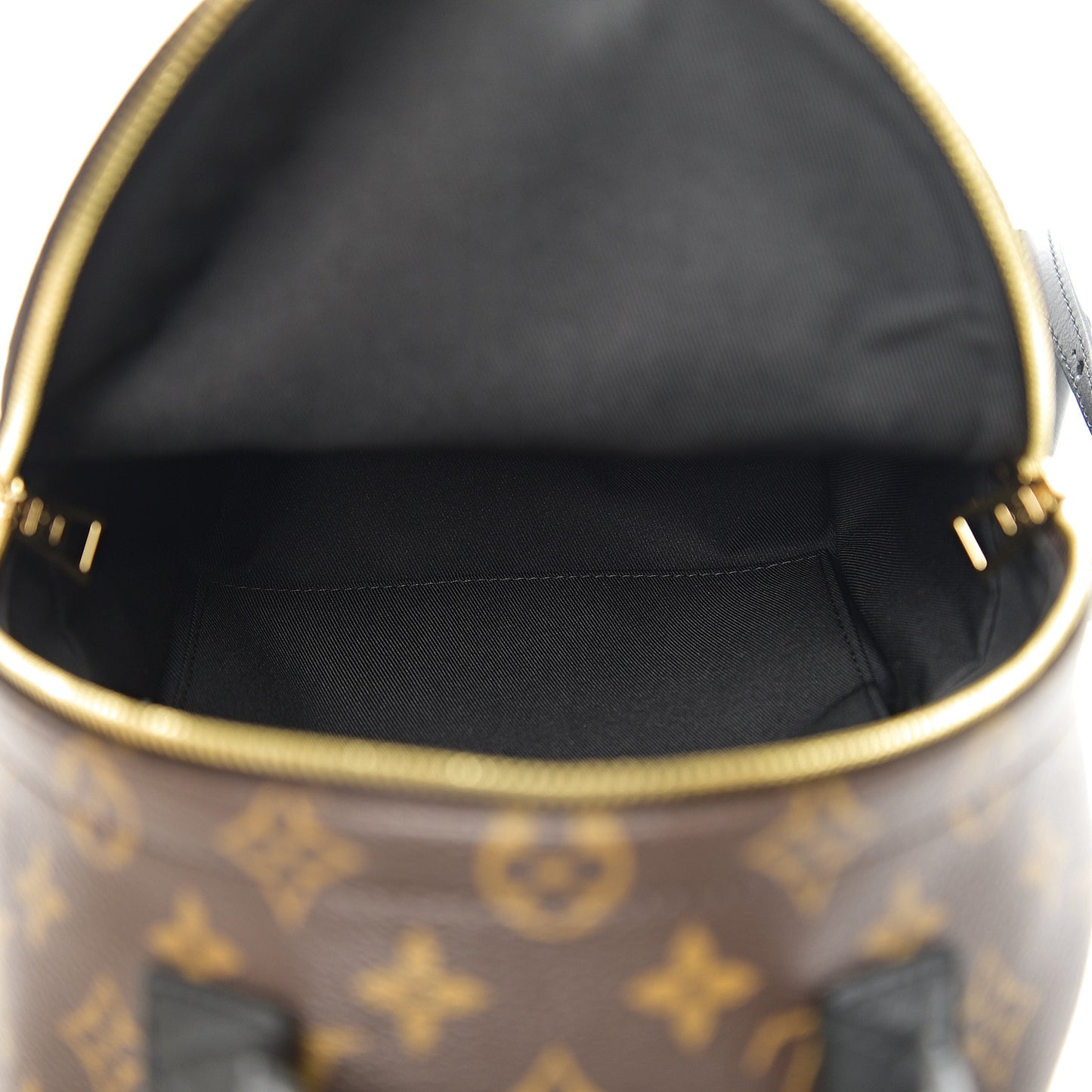 Monogram Palm Springs Backpack PM