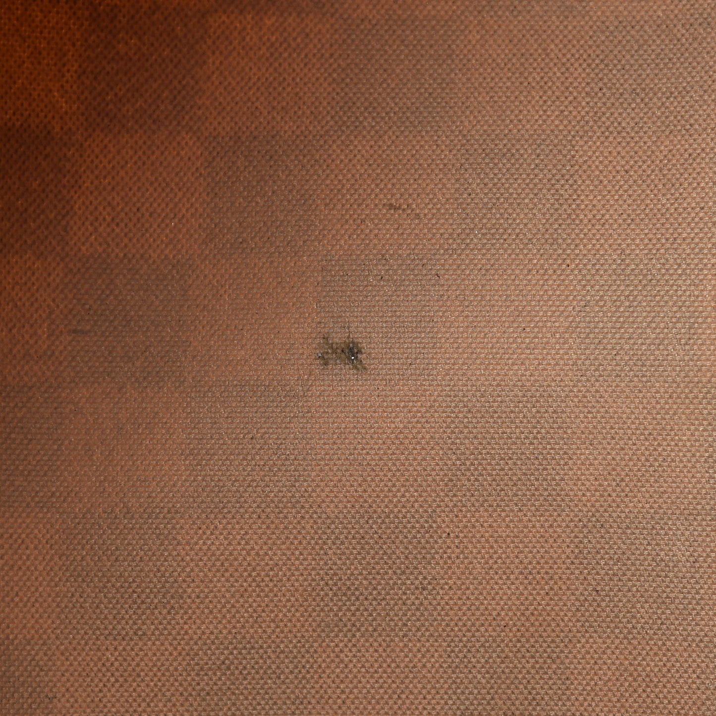 Damier Azur Speedy 30