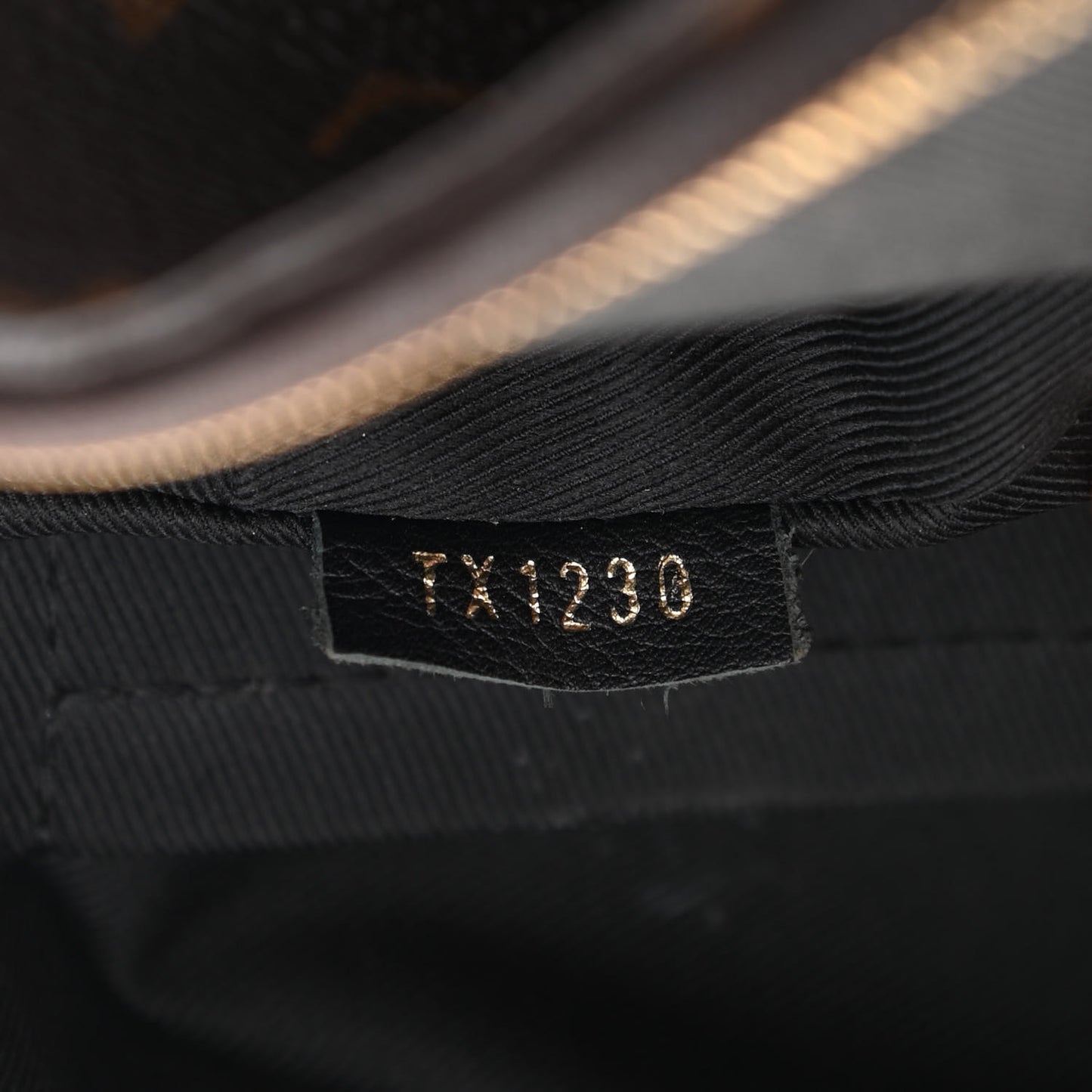 Monogram Palm Springs Backpack Mini