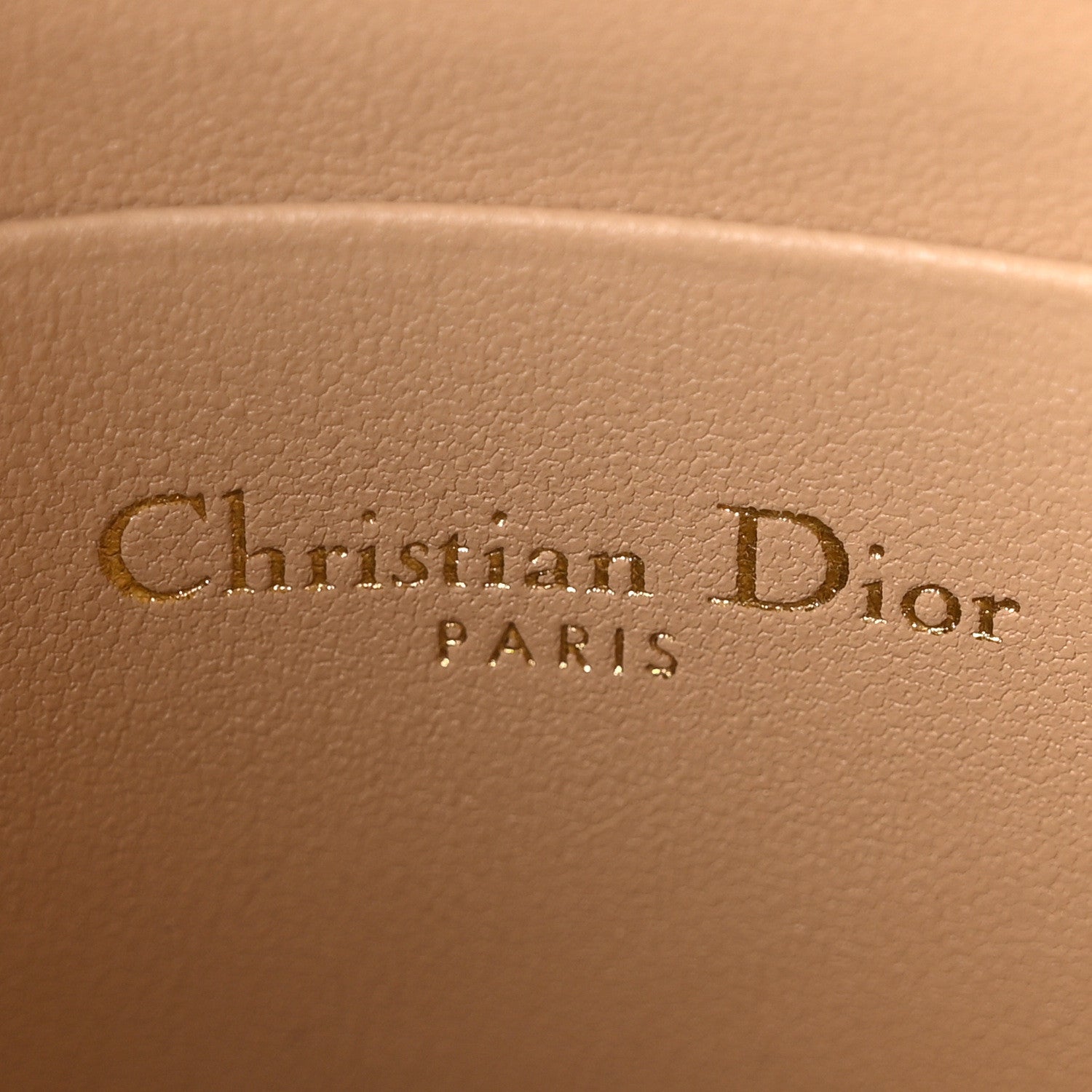 Christian Dior Goatskin Saddle Rodeo Pouch Biscuit 6 of 9