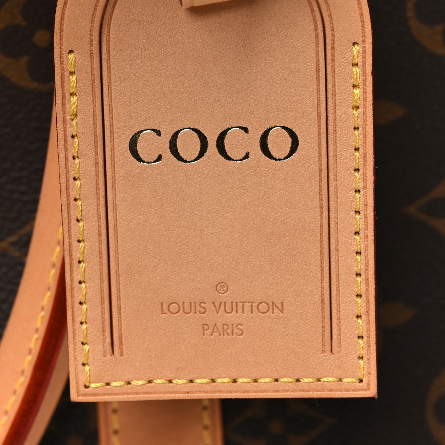 Monogram Dog Carrier 45