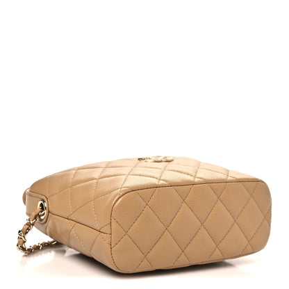 Chanel Caviar Quilted Hobo Dark Beige 4 of 11