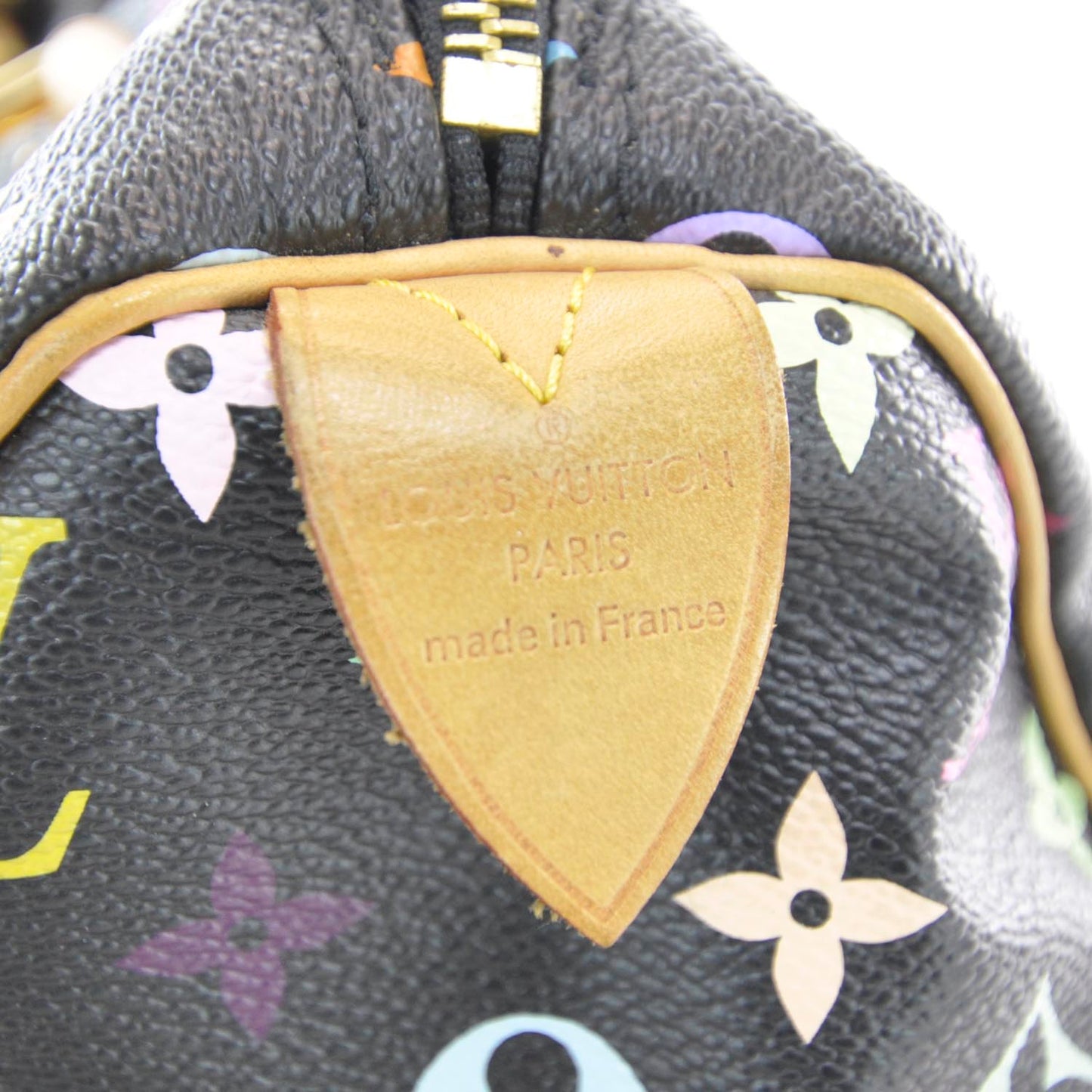 Monogram Multicolor Speedy 30 Black