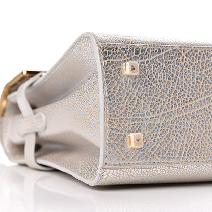 Delvaux Metallic Crispy Calfskin MM Metal Frame Tempete Satchel Antique Silver 7 of 10