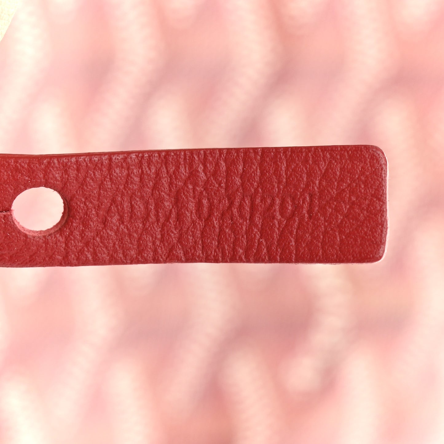 Goyardine Saint Louis PM Red