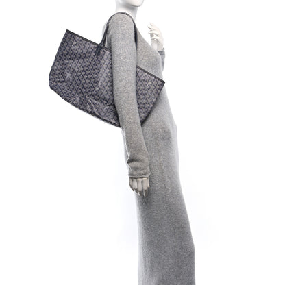 Goyard Goyardine Saint Louis PM Grey 2 of 10