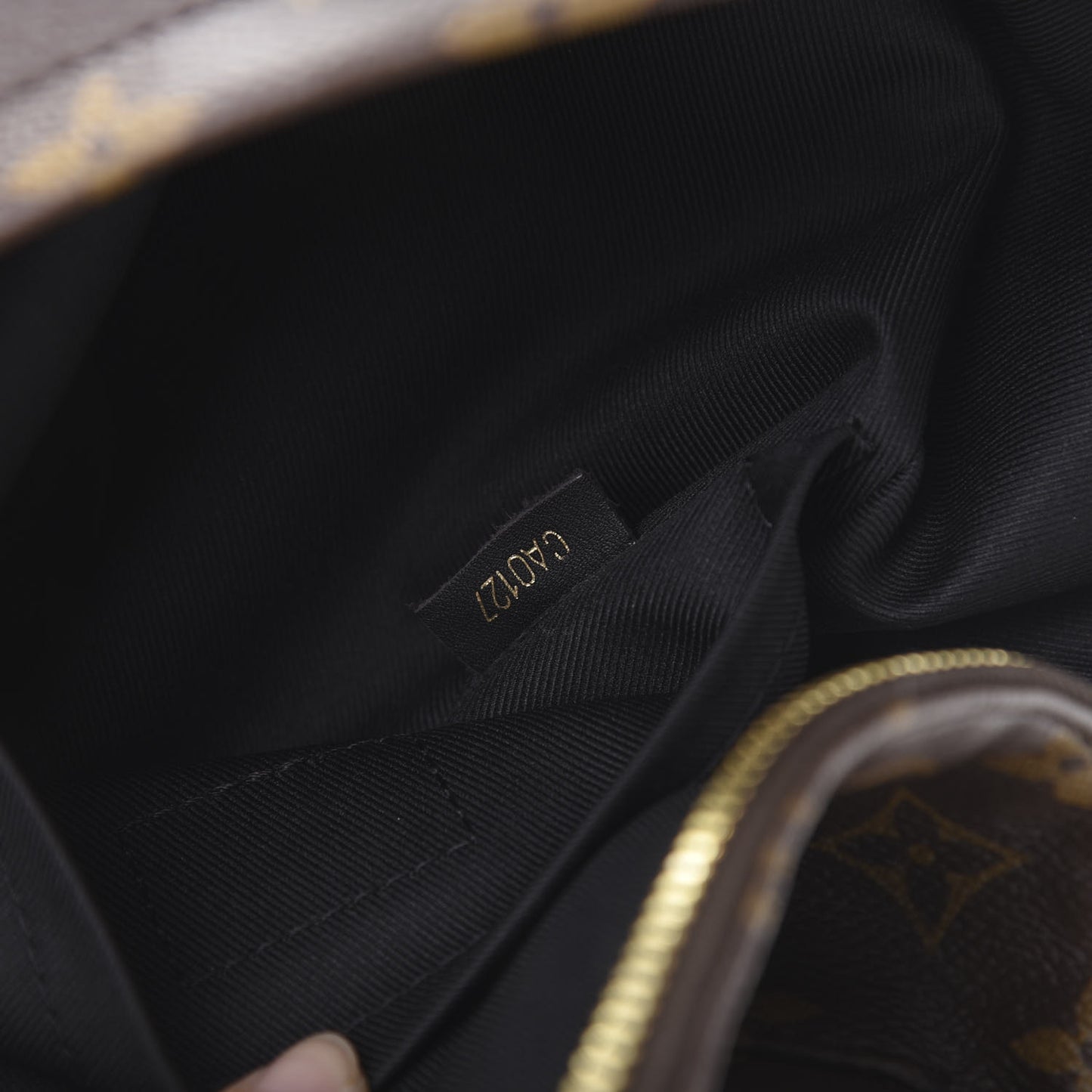 Monogram Palm Springs Backpack PM