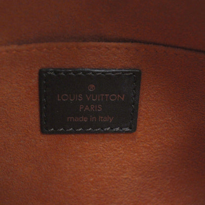 Louis Vuitton Damier Sauvage Tigre 7 of 8