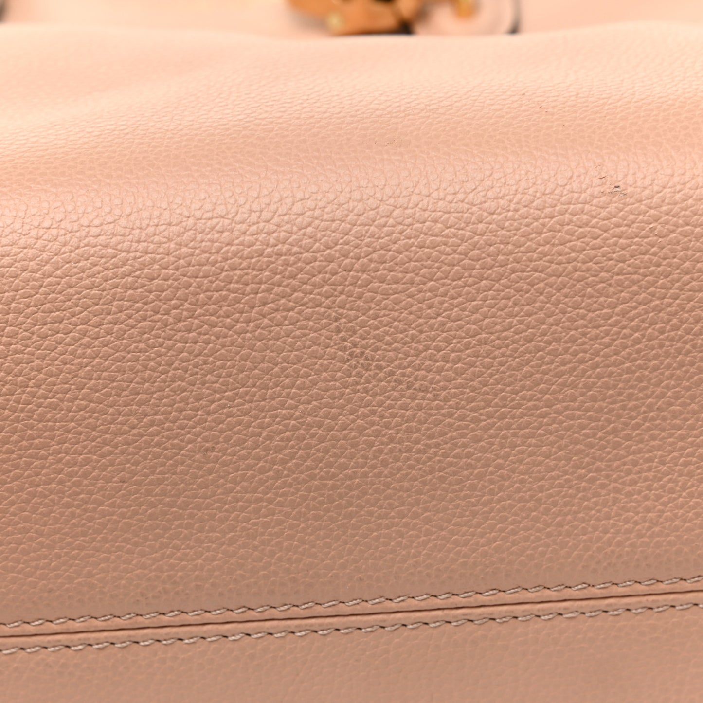 Pebbled Calfskin Small Skull Padlock Zip Around Tote Boudoir