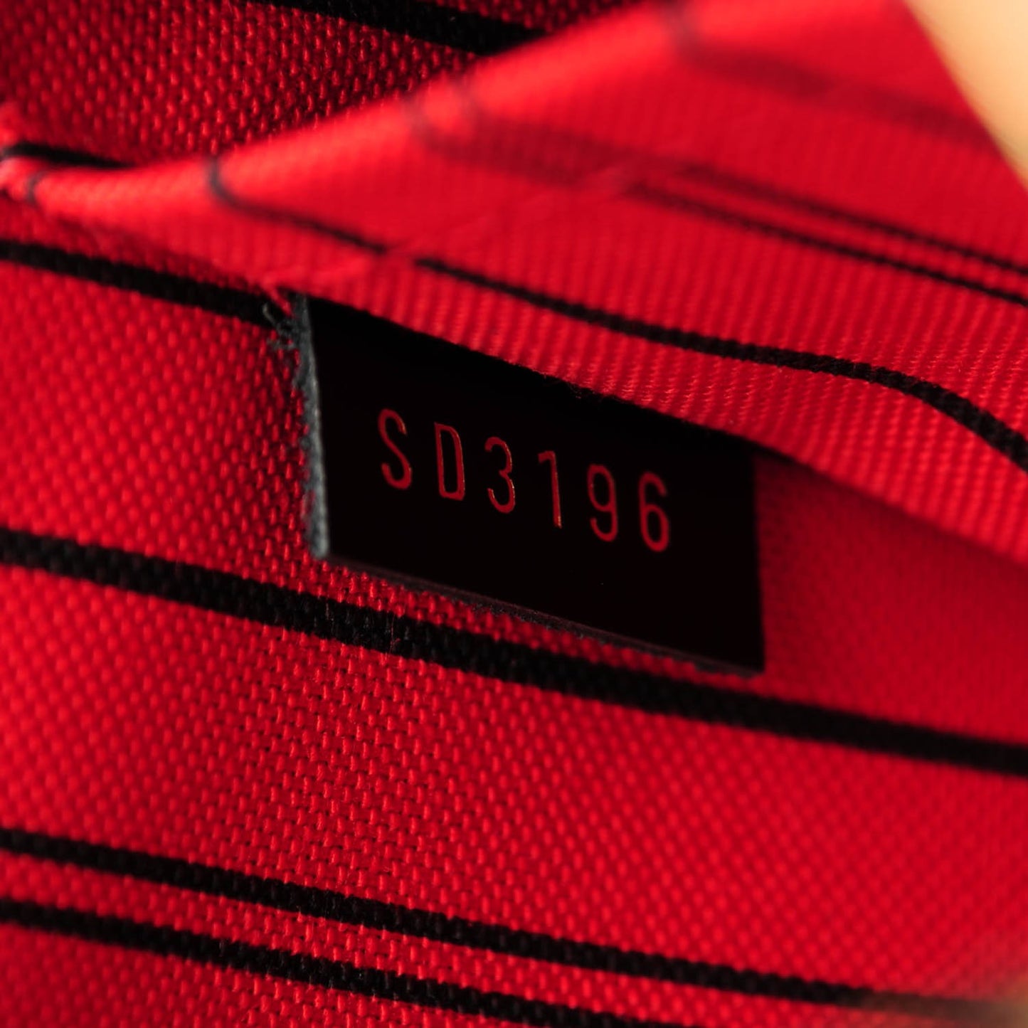 Monogram World Tour Neverfull MM GM Pochette