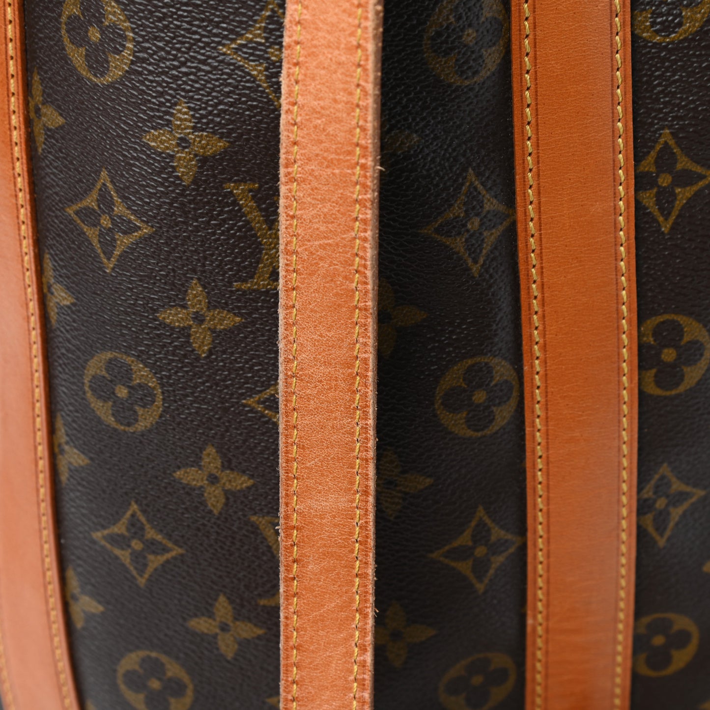 Monogram Randonnee GM Backpack