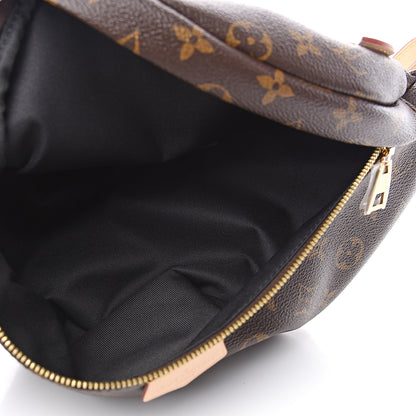 Louis Vuitton Monogram Bumbag 4 of 9