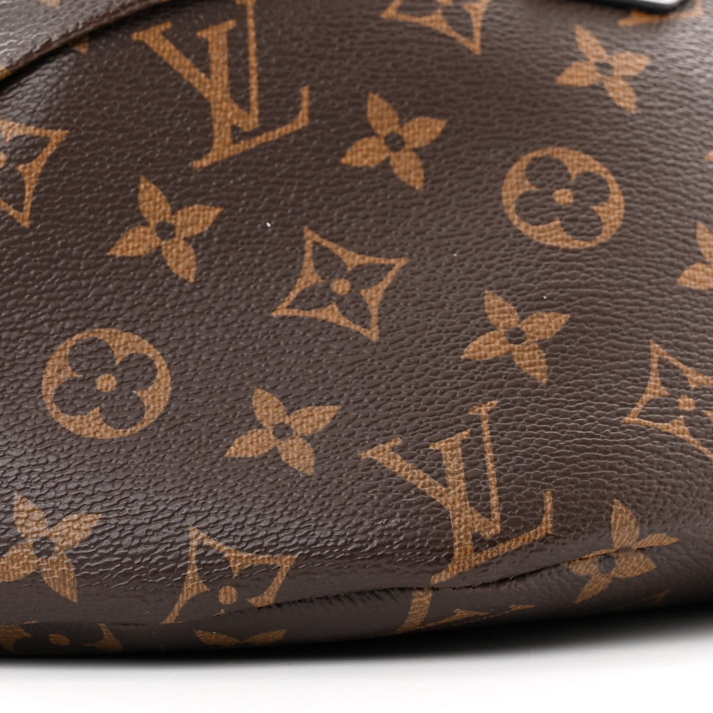Monogram My LV World Tour Bumbag