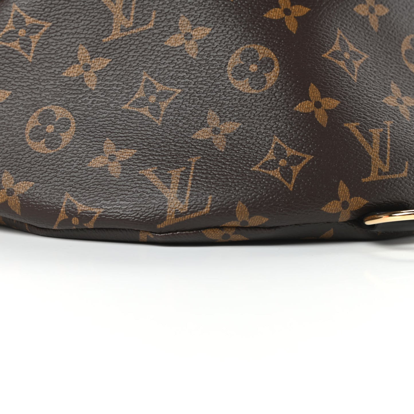 Monogram My LV World Tour Bumbag