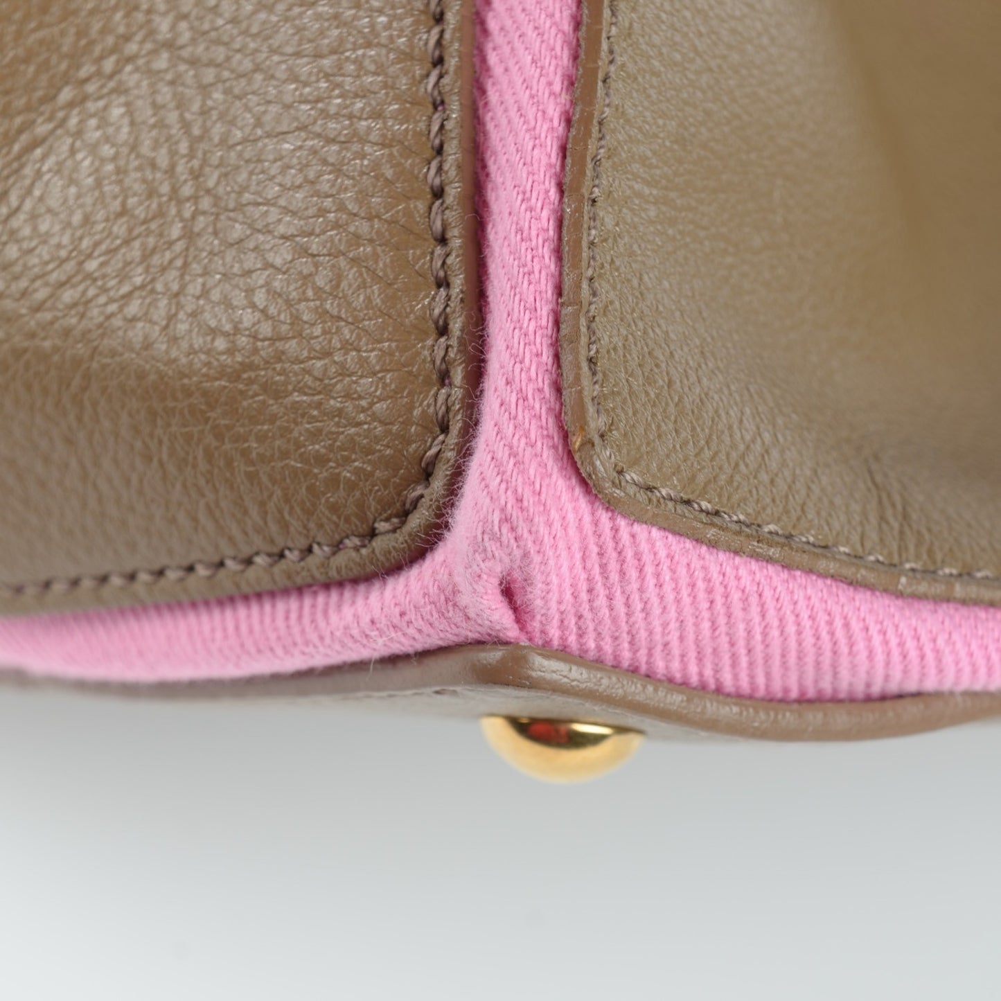 Calfskin Canvas Medium Muse Two Taupe Pink