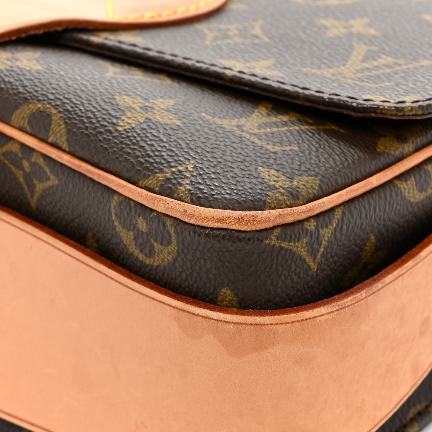 Monogram Cartouchiere 22