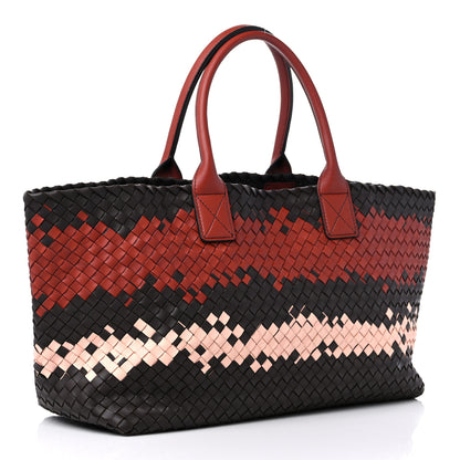 Bottega Veneta Nappa Intrecciato Medium Cabat Multicolor 4 of 14