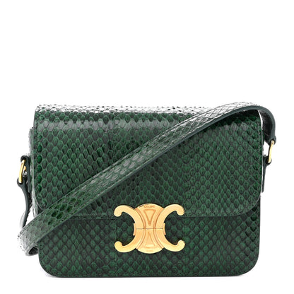 Celine Watersnake Teen Triomphe Green 1 of 14