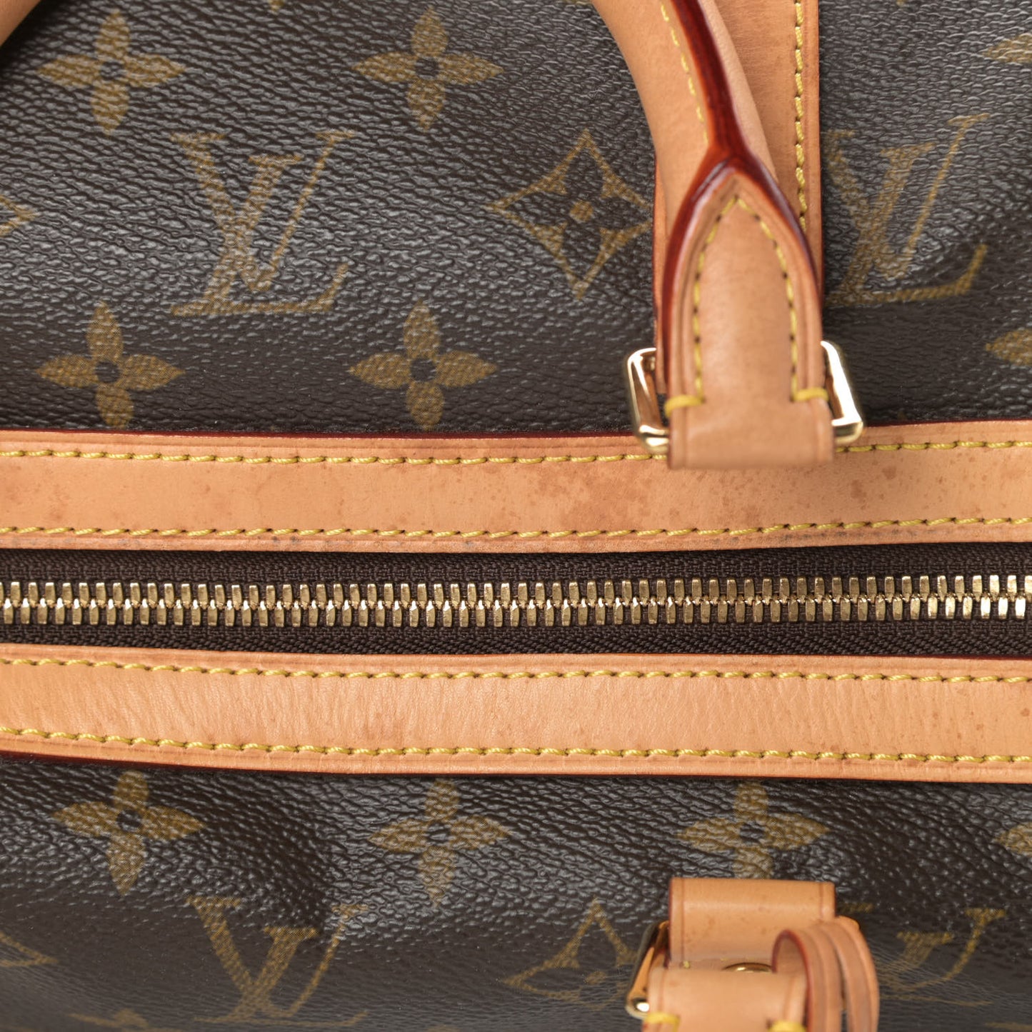 Monogram Sofia Coppola Speedy