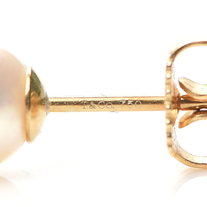 Tiffany 18K Yellow Gold Akoya Pearl 7-7.5mm Earrings 4 of 5