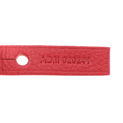 Goyard Goyardine Saint Louis PM Red 9 of 12