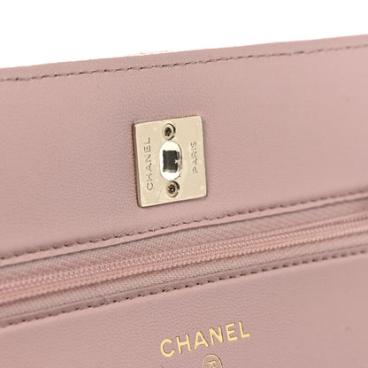 Chanel Lambskin Quilted Metal Enamel Flower Top Handle Wallet On Chain WOC Light Pink 12 of 13
