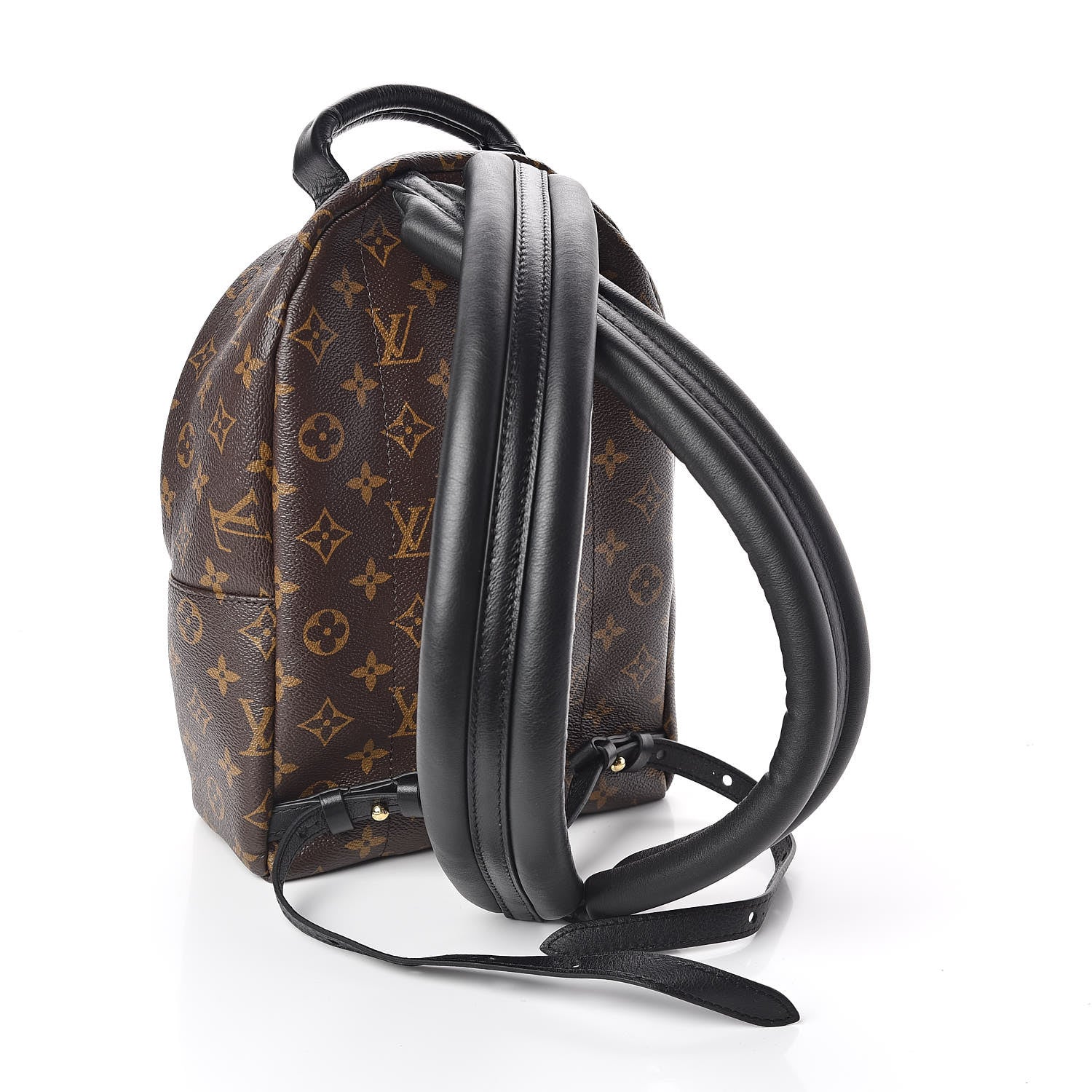 Louis Vuitton Monogram Palm Springs Backpack PM 3 of 10