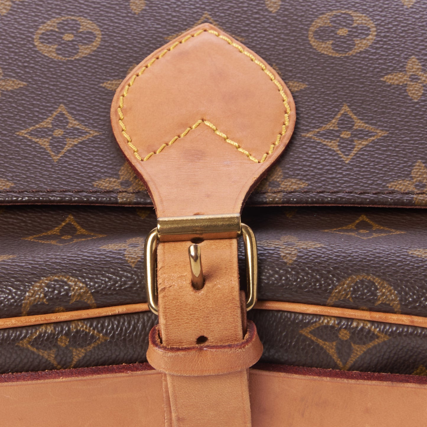 Monogram Cartouchiere 22