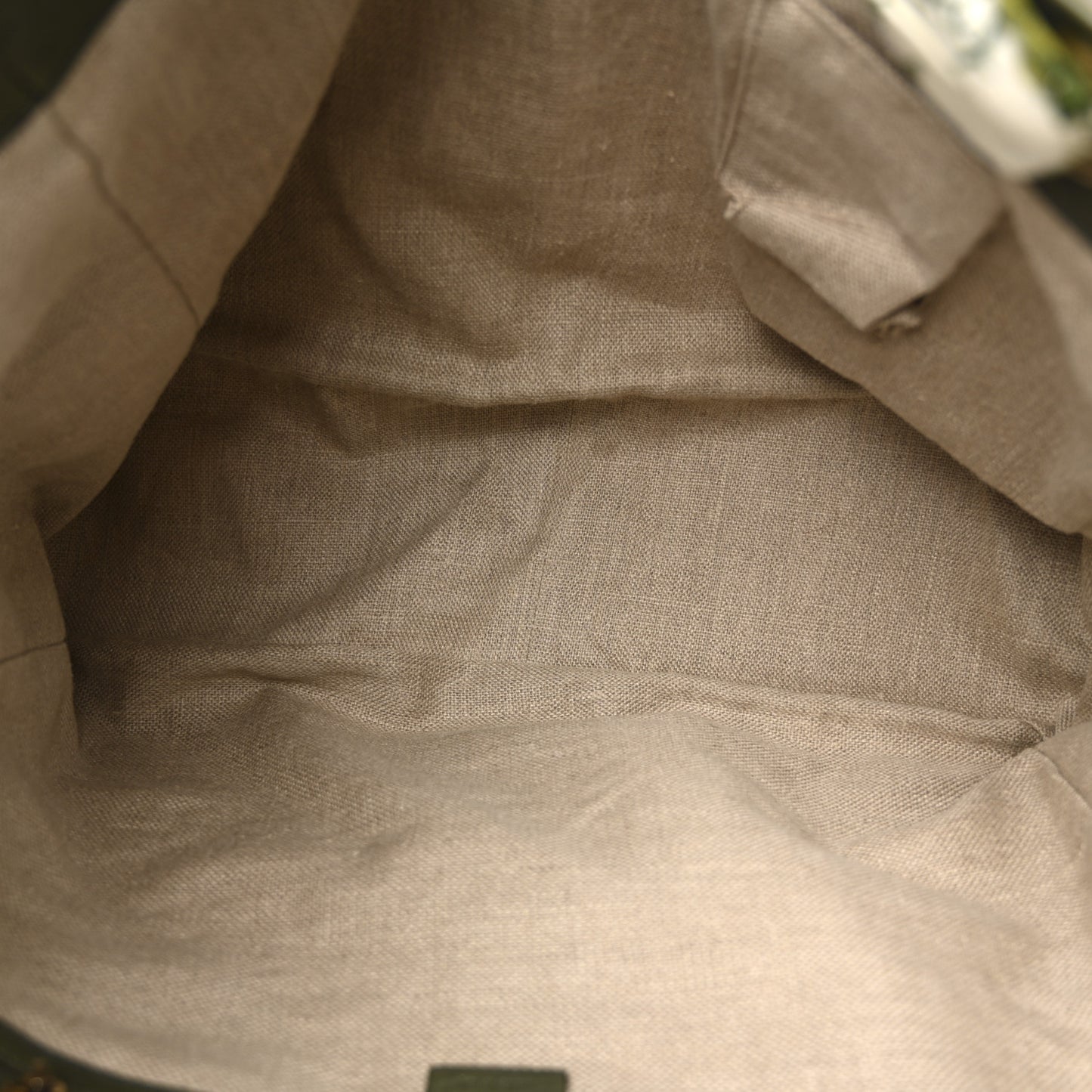 Natural Straw Ayers Snakeskin Large Positano Tote Green