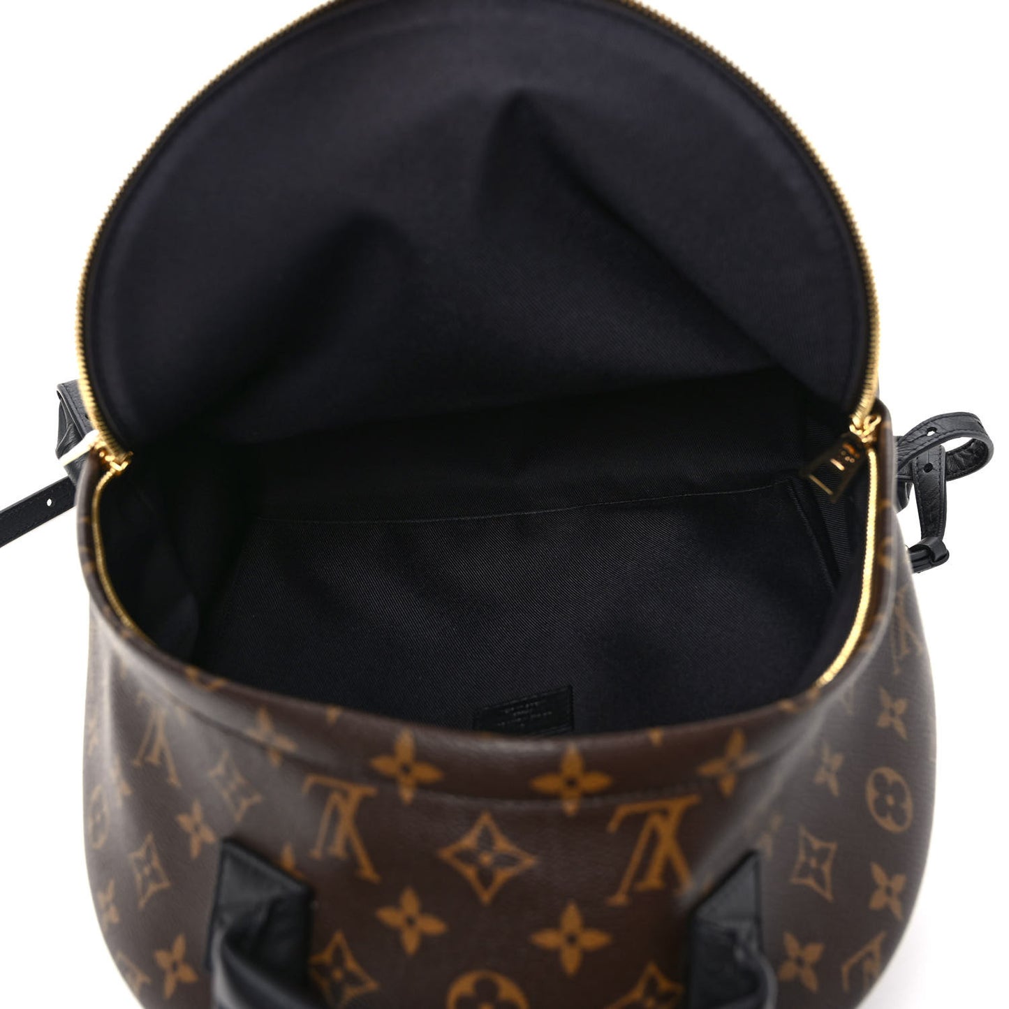 Monogram Palm Springs Backpack MM