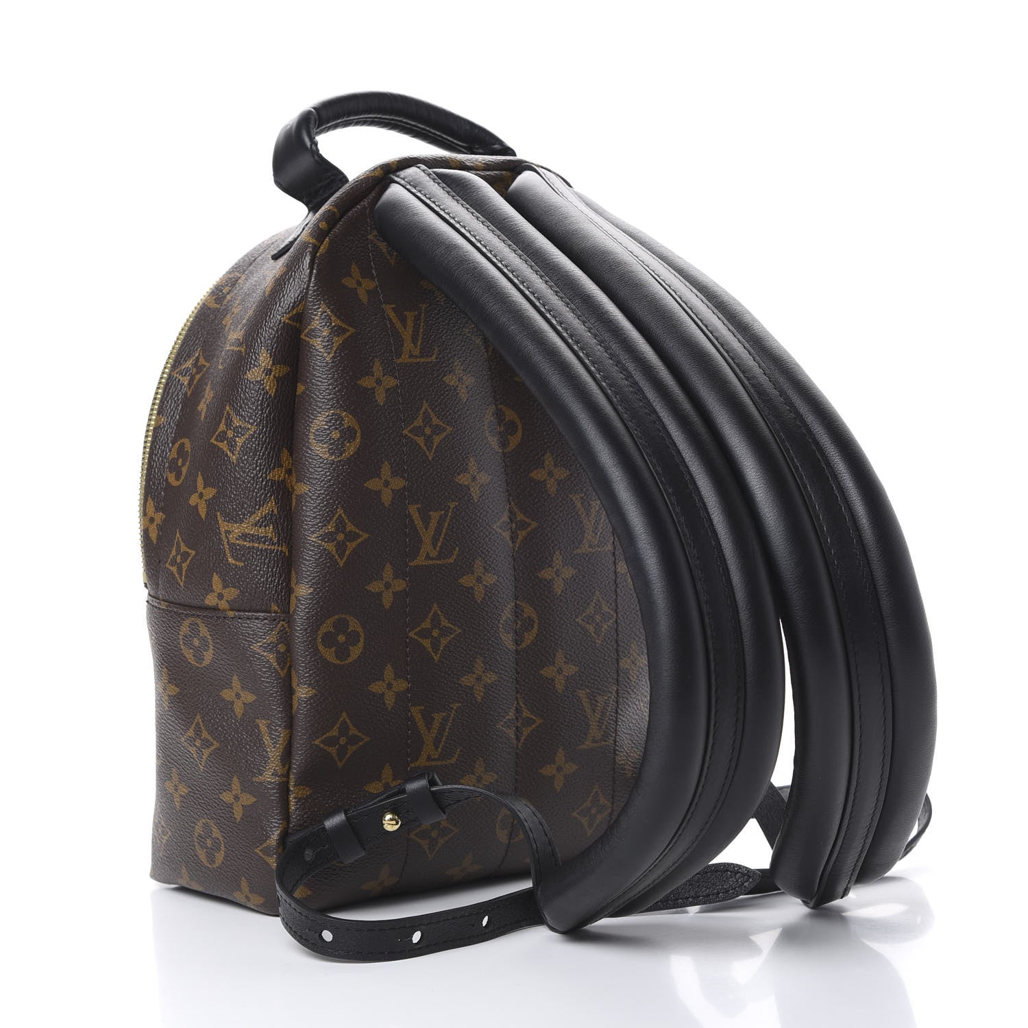 Louis Vuitton Monogram Palm Springs Backpack PM 2 of 10