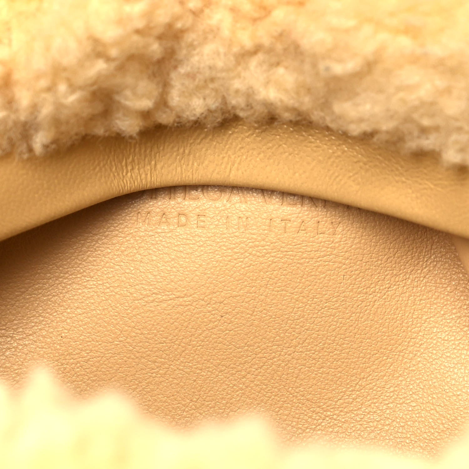 Bottega Veneta Shearling The Fringe Pouch Teddy 5 of 5