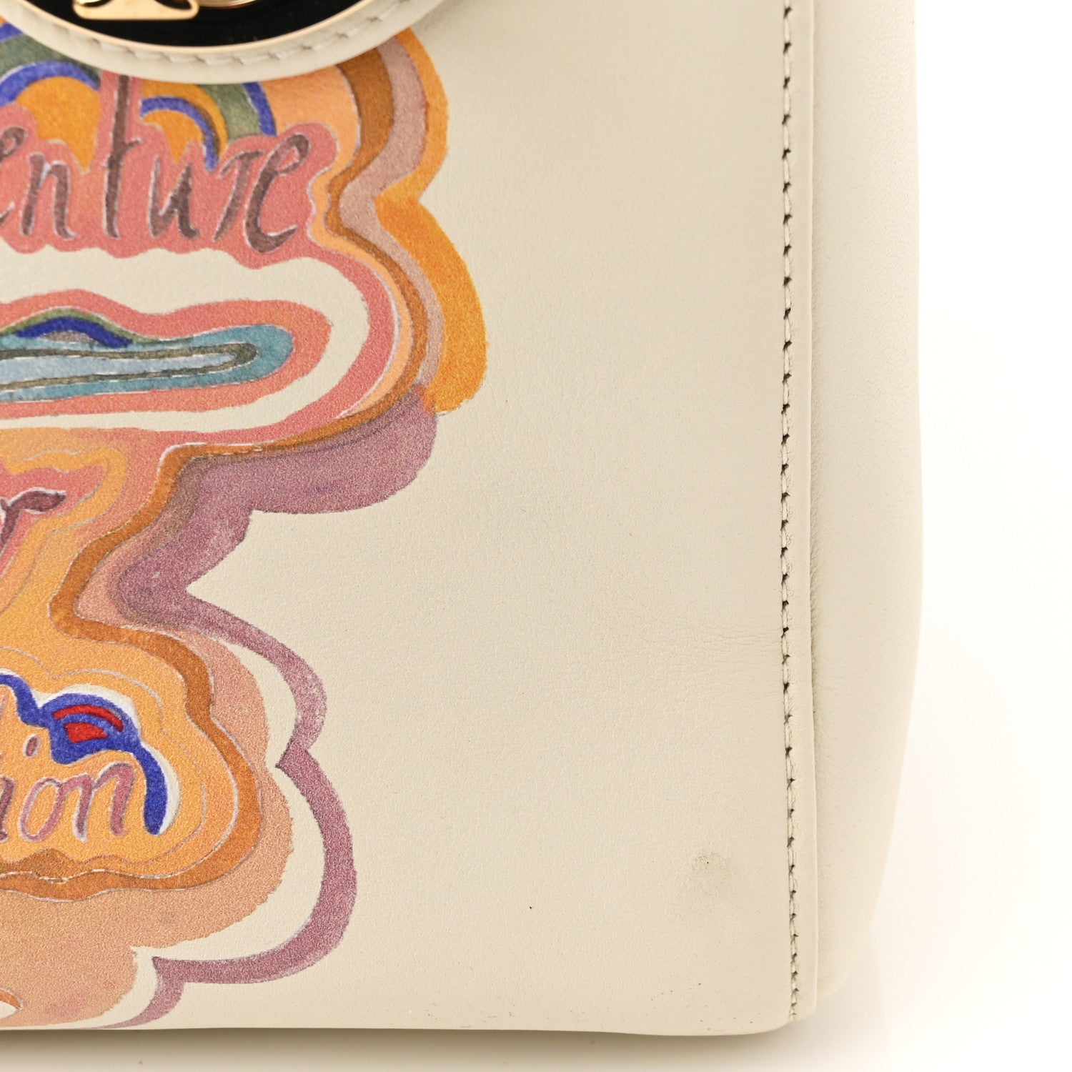 Christian Dior Calfskin Amour Print Medium Lady Dior Multicolor 11 of 11