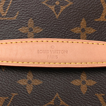 Louis Vuitton Monogram Nice Mini 8 of 8