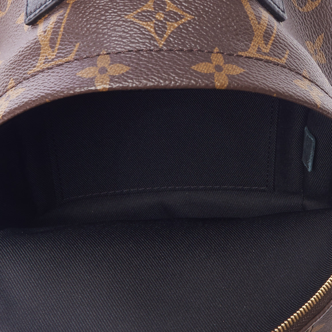 Monogram Palm Springs Backpack Mini