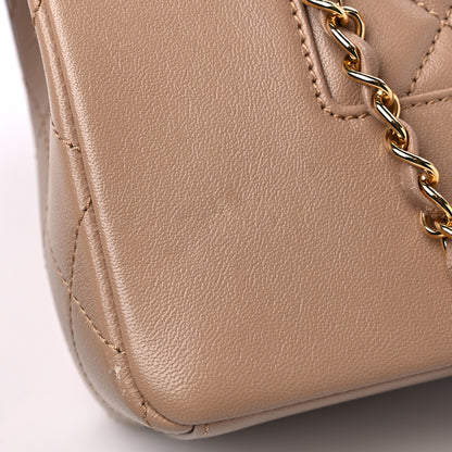 Chanel Sheepskin Quilted Vintage Mademoiselle Flap Beige 13 of 13