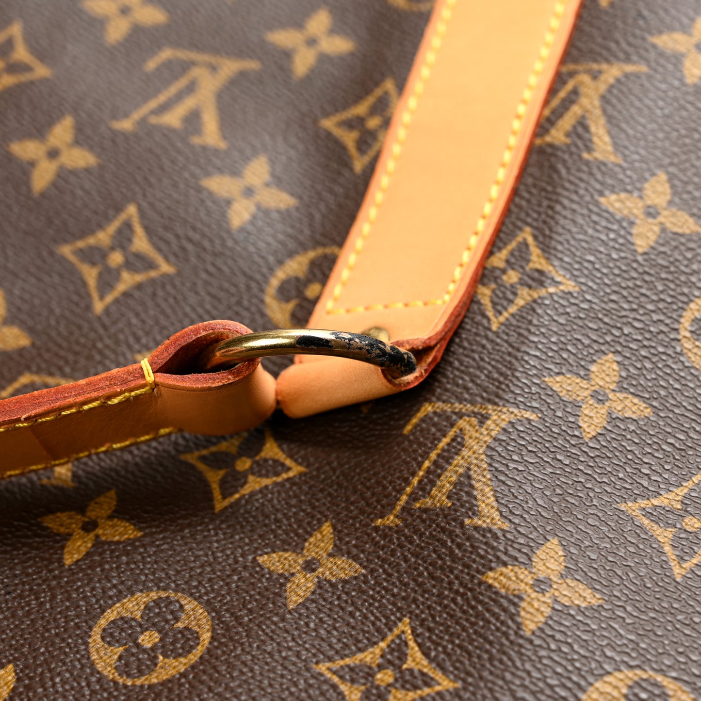 Monogram Kabul Garment Suit Cover