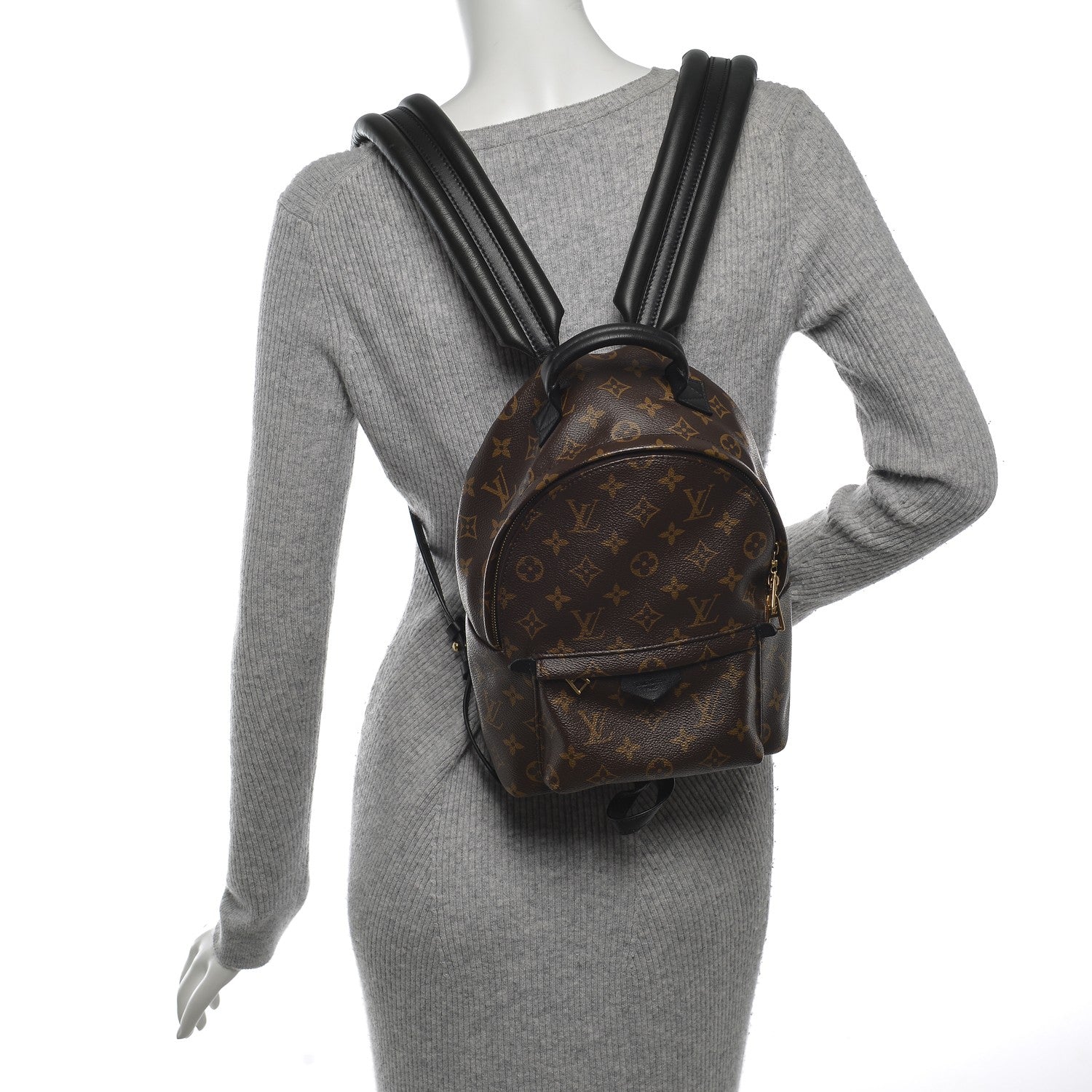 Louis Vuitton Monogram Palm Springs Backpack PM 2 of 6