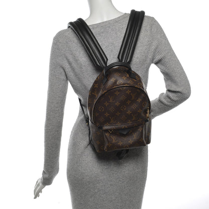 Louis Vuitton Monogram Palm Springs Backpack PM 2 of 6