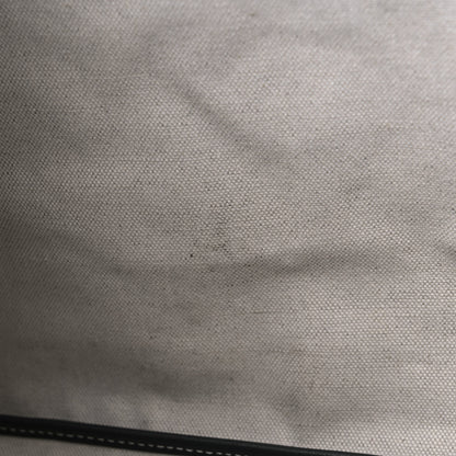 Goyard Goyardine Butterflies Saint Louis PM Grey 9 of 10