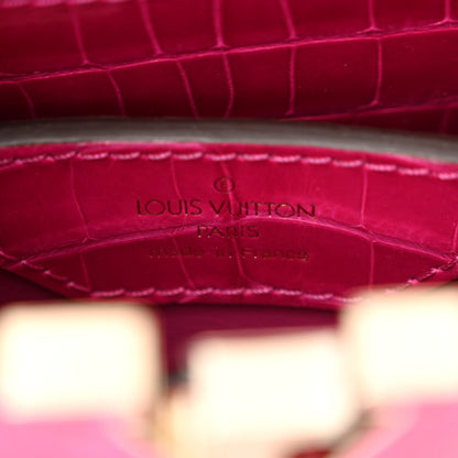 Louis Vuitton Crocodile Nano Capucines 7 of 10