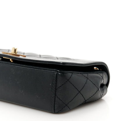 Chanel Sheepskin Quilted Medium Vintage Mademoiselle Flap Black 11 of 11