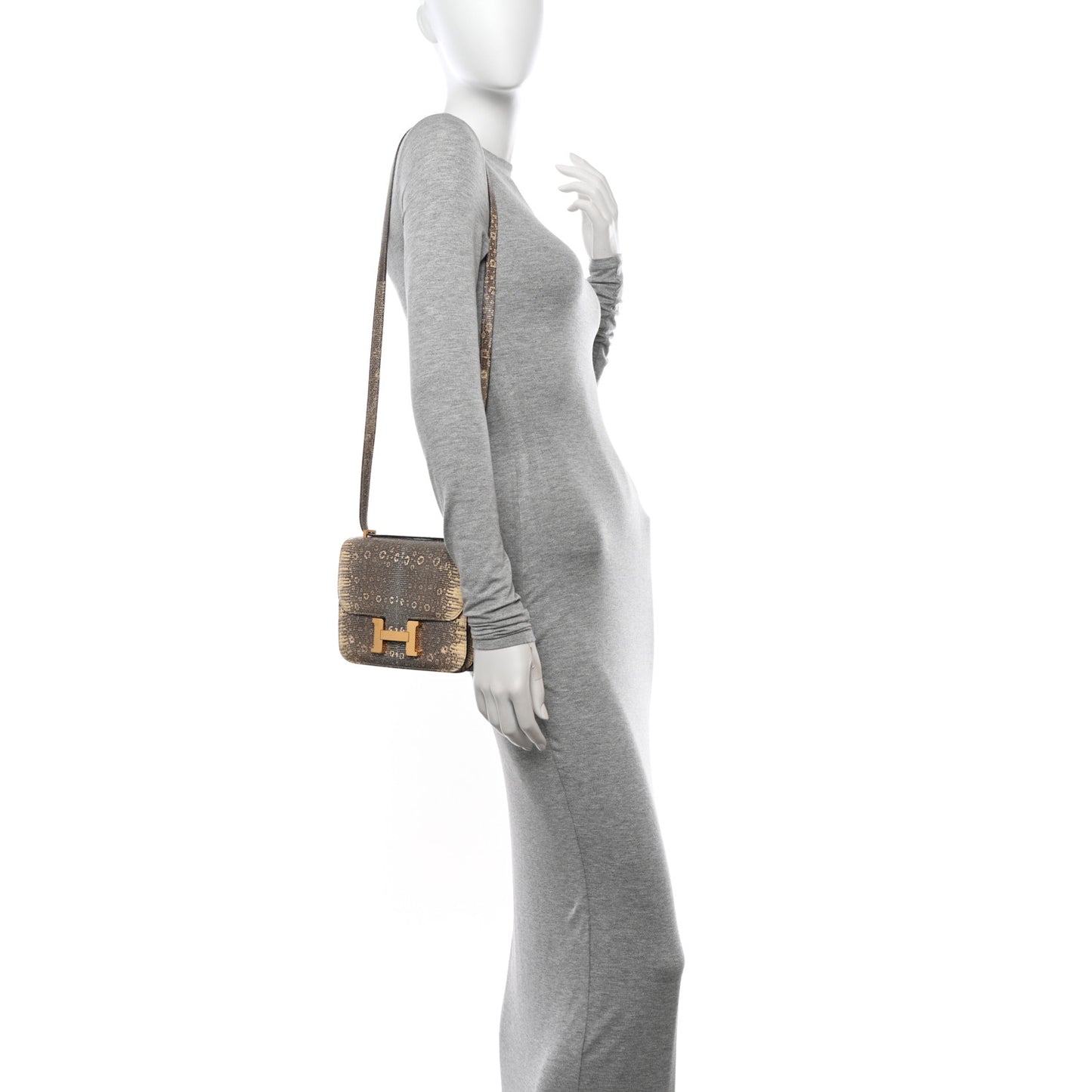 Lizard Constance 18 Ombre